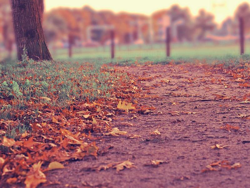 绿茶vpnVPN全球服务器覆盖地图